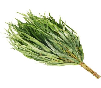 Эвкалиптовый веник