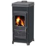  Печь-камин Plamen Dora 8 N