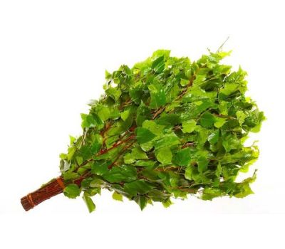 Березовый веник